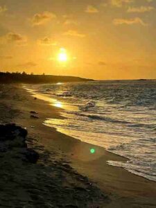 ニシ浜から眺める夕日（撮影：生方正）