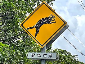 動物注意の道路標識（撮影：生方正）