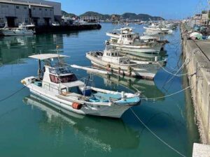 八幡浜港付近に停泊している漁船（撮影：生方正）
