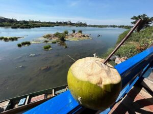 ココナッツを飲みながら川を眺める（撮影：生方正）